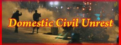 Dealing with Domestic Civil Unrest