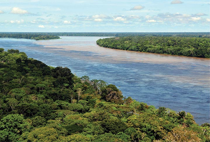 Vista aérea da floresta amazônica