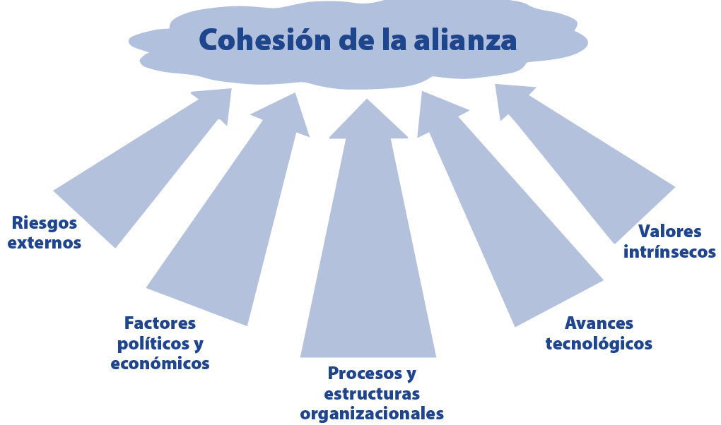 Figura 1. Cinco factores que afectan la cohesión de la Alianza (Gráficas de los autores)