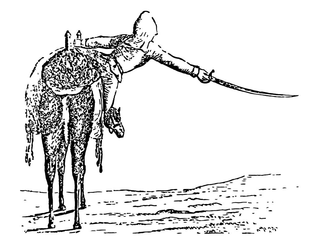 One advantage of the camel over the horse was the ability of the rider to make a more extensive saber cut by holding the frontpiece of the saddle and leaning to the side. (Letter of W. Re Kyan Bey, Secretary to the Viceroy of Egypt to Edwin DeLeon, U.S. Consul General in Egypt on the Treatment and Use of the Dromedary.)