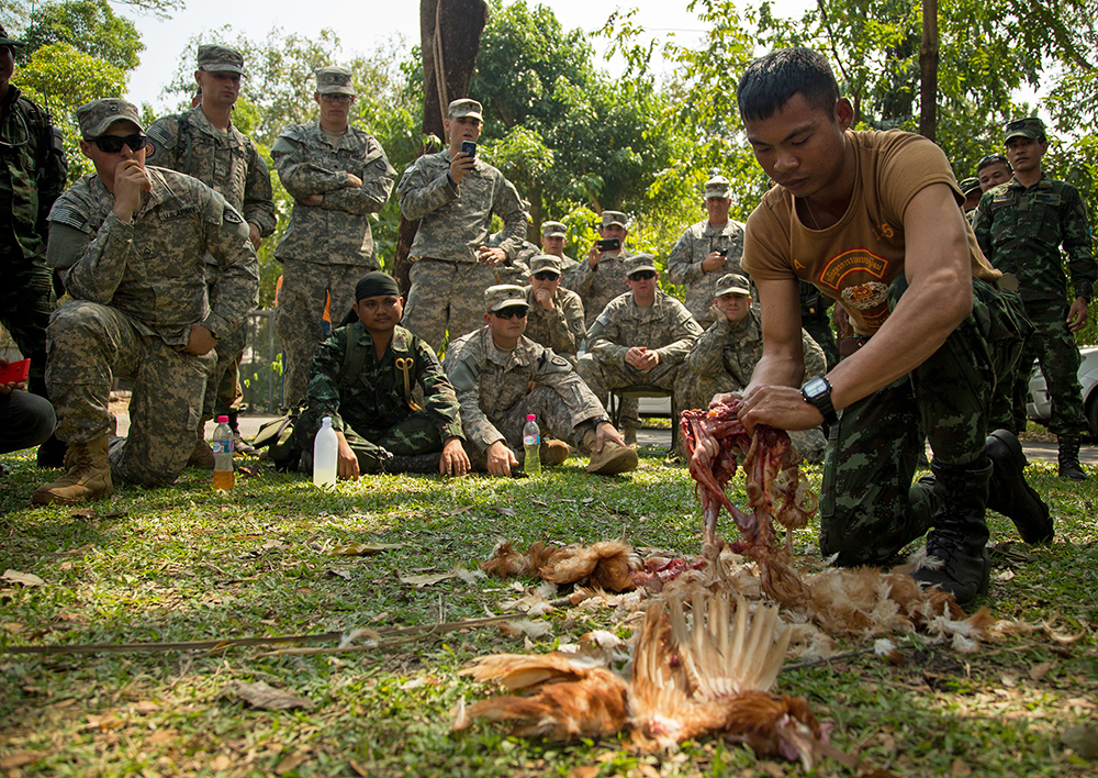 Royal Thai Army soldiers assigned to the 31st Infantry Regiment, Rapid Deployment Force, Kings Guard, demonstrate how to hypnotize then humanely kill and consume a chicken in order to survive to U.S. Army Soldiers from the 25th Infantry Division during a jungle training exercise in February in Lopburi, Thailand. The training was part of a Pacific Pathways joint training exercise. (Photo by Spc. Steven Hitchcock)