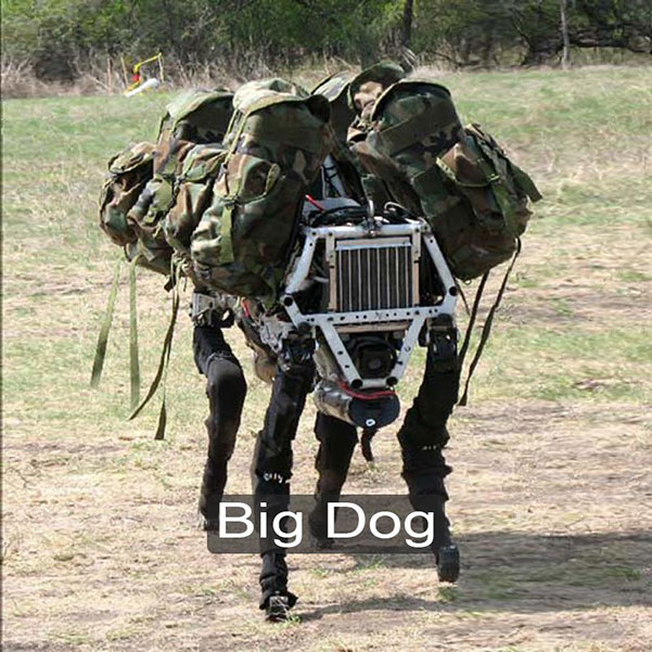 Big Dog