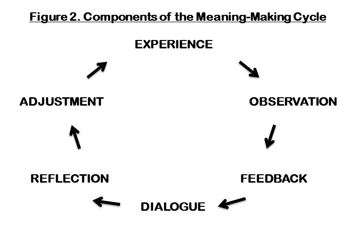 Components of the Meaning-Making Cycle