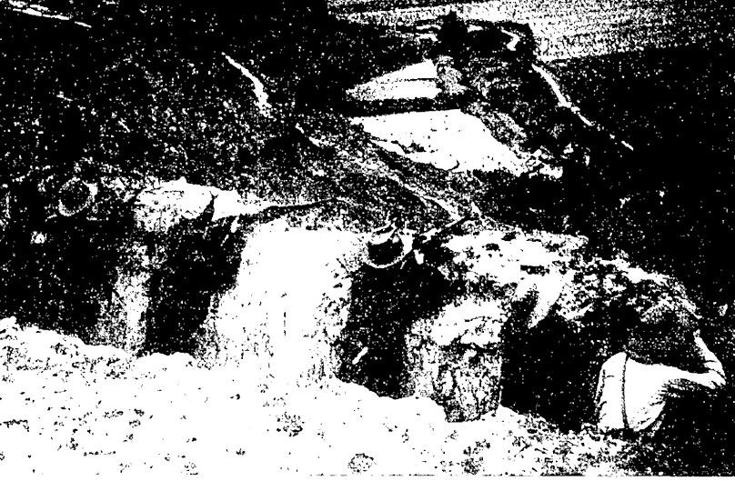 Chinese guerrillas of the 4th guerrilla zone