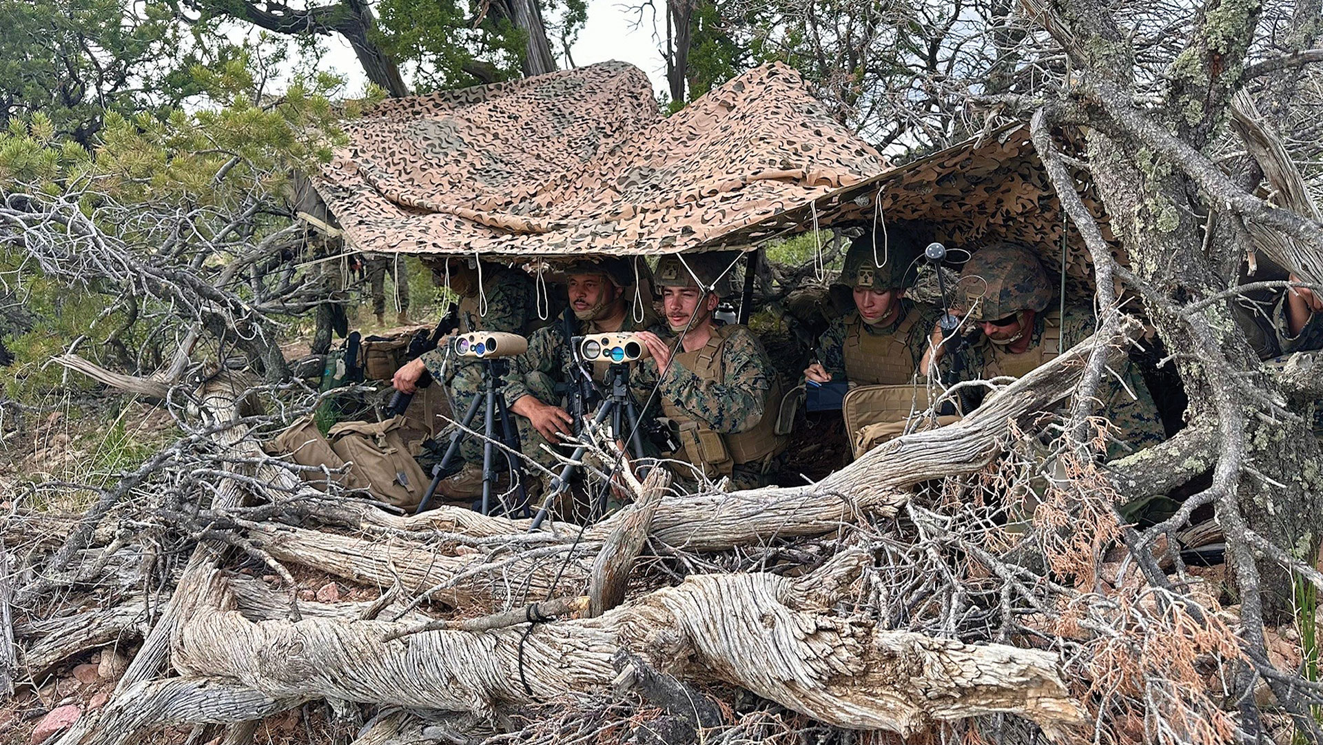 Military reconnaissance team in camouflaged observation post constructed with fallen logs and desert camouflage netting. Four soldiers in mixed camouflage patterns using binoculars and observation equipment while concealed among natural debris and branches in wooded terrain.