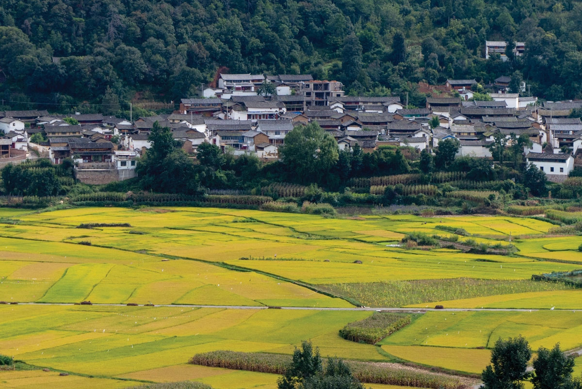 Terraços de arroz de Honghe Hani na província de Honghe, condado de Yuanyang, Yunnan, China