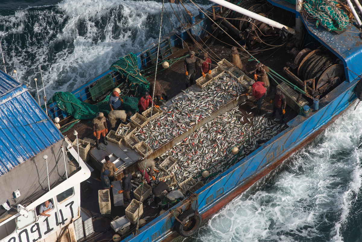 >Pescadores separan el pescado el 31 de marzo de 2017