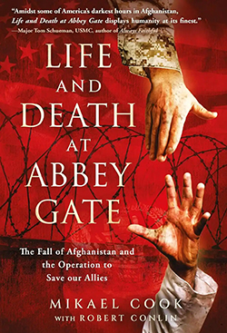 Life and Death at Abbey Gate Review