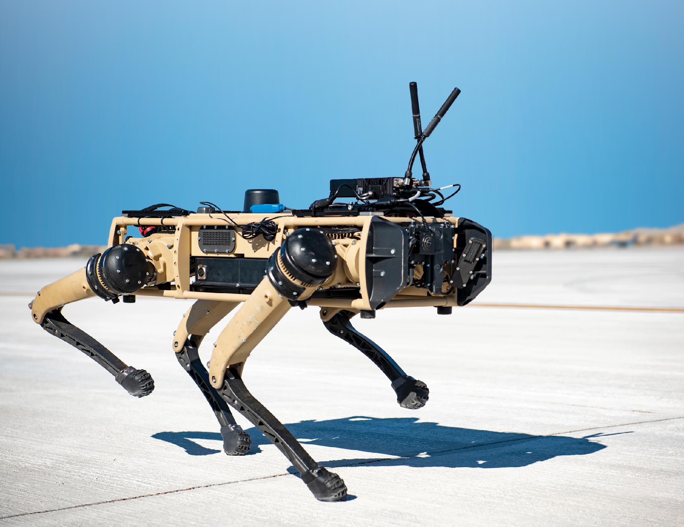 A Ghost Robotics Vision 60 prototype walks with a security forces airman at a simulated austere base 3 September 2020 during the Advanced Battle Management System exercise at Nellis Air Force Base, Nevada.