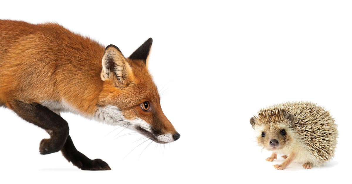 A Chinese Fox against an American Hedgehog in Cyberspace? 