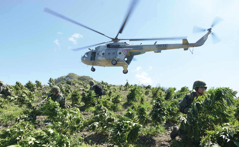 Militares mexicanos destruindo plantação de drogas. (Foto: Secretaría de la Defensa Nacional, México, 5º Informe de Labores 2016/2017)