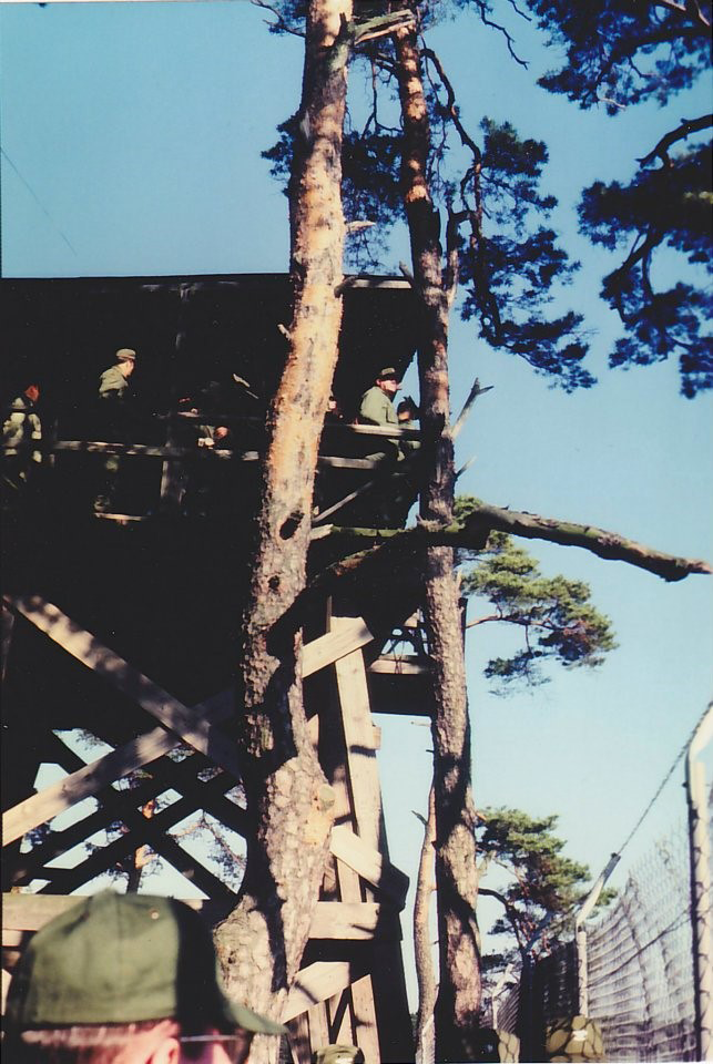 A vertical photograph shows a tall overlook tower rising beside a pair of trees, atop a wooden structure, and with a handful of people visible within the shady platform at its top. The image is in color. The gaze of the men at the platform’s edge leads the viewer’s eye toward the right edge of the photograph.  This image is the ninth in a series of 12 accompanying the article.