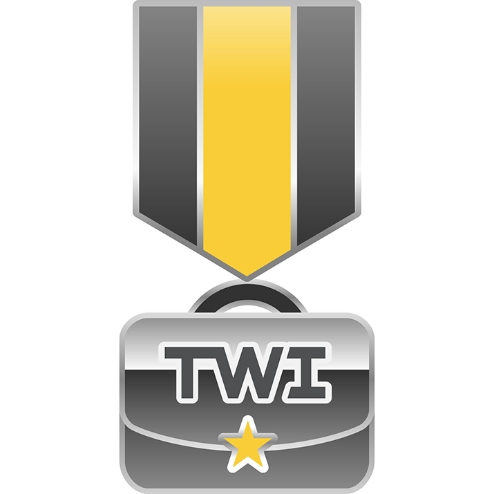 A vertical illustration shows a ribbon with a yellow stripe down its center, with gray lines flanking this golden band on either side. The ribbon terminates in a rectangular medallion with “TWI” and a yellow star at its center.