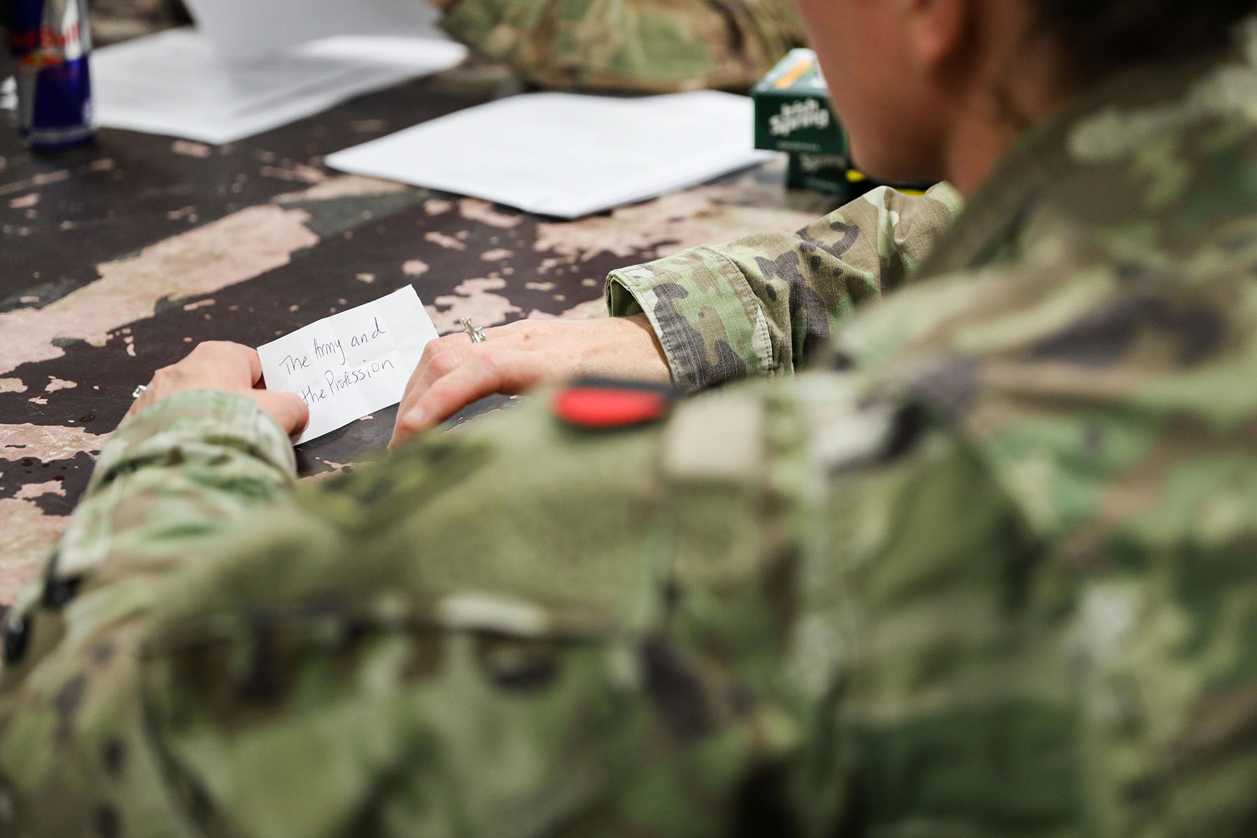 The Army Profession